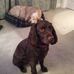 Carol Cutting - Facebook