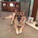 Carol Cutting - Facebook
