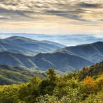 Carol Daugherty - Facebook