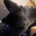 Carol Dearing - Facebook