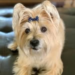 Carol Ann Bill Denlinger - @cbdenlinger1 - Instagram