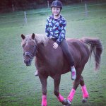 Caroline-12-denmark-pony-cat - @lifeascaroo - Instagram