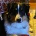 Carol Denson - Facebook