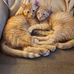 Carol DeSantis - Facebook