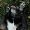 Carol Wesenberg - @carol.wesenberg - TikTok