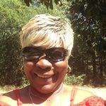 Carol Evans - @caroldevans - Instagram