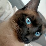@carol_.devillers - Instagram