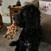 Carol Ann De-ville - Facebook