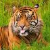 Carol Ann DeVille - Facebook