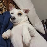 Carol DeVille - @carolstefansky - Instagram