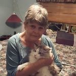 Carol DeVine - @carol.devine.9047 - Instagram