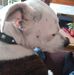 Carol Devine - Facebook