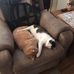 Carol DeWitt - Facebook
