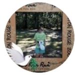 Carol DeWitt - @fobeva5313 - Instagram