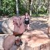 Carol Dewitt - Facebook