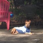 Carol Frances DeWitt - @carolfrancesdewitt - Instagram