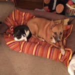 Carol DeYoung - @deyoungcarol - Instagram