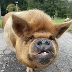 Carol DeYoung - @deyoung.carol - Instagram