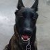 Carolyn Dillingham - Facebook