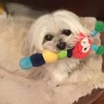 Carolyn L Dillingham - @carolyndillingham - Instagram