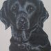 Carol Dix - Facebook