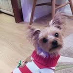 Carol Dodd - @carolmdodd - Instagram