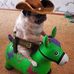 Carolyn Dodd - Facebook