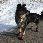 Carol Dodds - @dodds3429 - Instagram