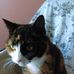 Carol Doiron - Facebook