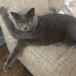 Carol Doran Lewis - @cdl309 - Instagram
