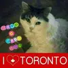 Carol Anne Doucette - @carolannedoucette - TikTok