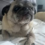 Carol Downs - @carol.downs - Instagram