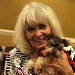 Carol Jean Dowdy - @caroljeandowdy - Instagram