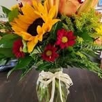 Carol Dowe - @carol.dowe - Instagram
