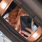 Carol Dowek - @carolina_dowek - Instagram