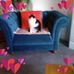 Carol Dowell - Facebook