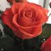 Carol Dunfee - Facebook