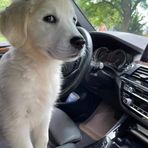 Carol Dunlap - Facebook