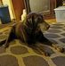 Carol Dunlap - Facebook