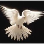 Carol Dunlap - Facebook