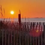 Carole Dupuis - @carole.dupuis.77 - Instagram