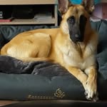 Carole Dupuis - @carole.dupuis.5 - Instagram