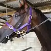 carolduryea3 - @carolduryea3 - TikTok
