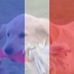 Carolyn Eagles - Facebook