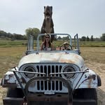 Carol Early - @sunnycue2 - Instagram
