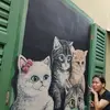Carol Easter - @carol.easter - TikTok