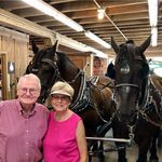 Carol Ecker - @eckercarol - Instagram