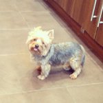 Carol Eckert - @djpinktopics - Instagram