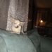 Carol Eckert - Facebook