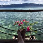 Carol Eddy - @carol_t_eddy - Instagram